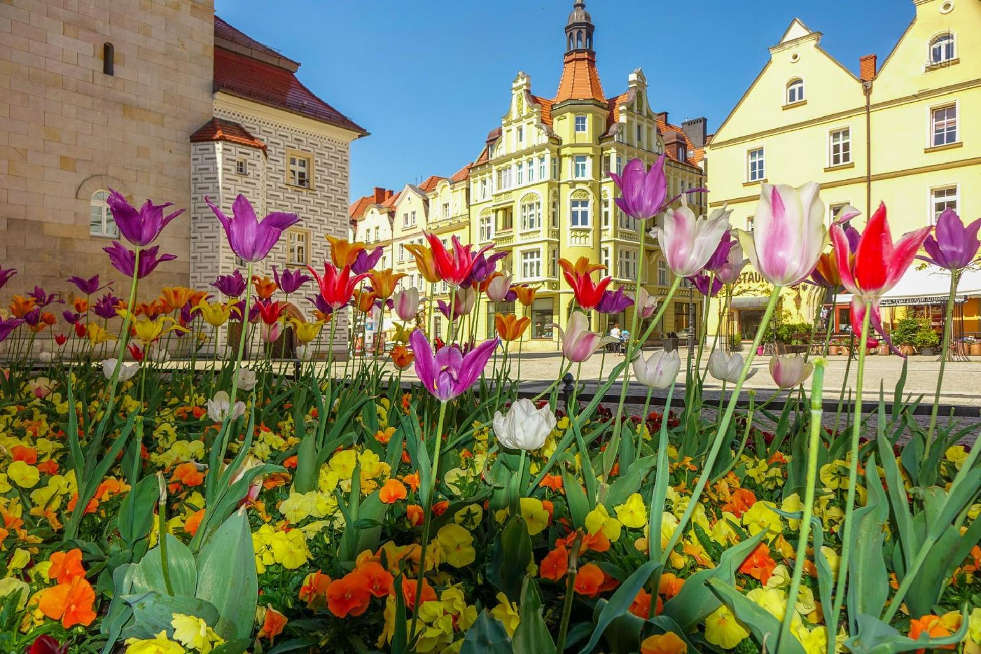 Apartament Przy Starowce - Zoni Boleslawiec  Buitenkant foto